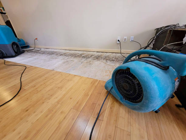 Professional Basement Flood Cleanup technician working in Lytle Creek, CA